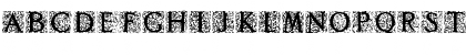 Decorated Roman Initials Regular Font