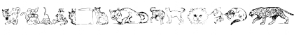 Dingcats Regular Font Dingcats Regular Font