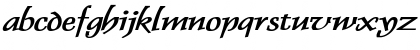 Dolphin Extended Bold Italic Font