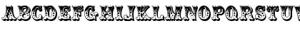 Dorothy Regular Font Dorothy Regular Font