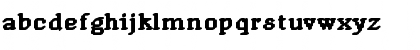 DTCRoughM19 Regular Font DTCRoughM19 Regular Font