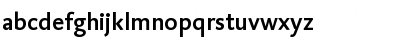 DTLCaspariSTMedium Regular Font DTLCaspariSTMedium Regular Font