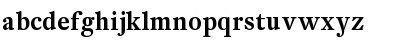 DTLFleischmannST Medium Font