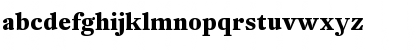 DTLFleischmannT Bold Font DTLFleischmannT Bold Font