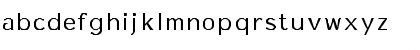 Essay-Normal Regular Font Essay-Normal Regular Font