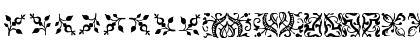 FCaslon Ornaments ITC Regular Font FCaslon Ornaments ITC Regular Font