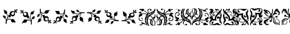 FCaslonOrnamentsITC Medium Font FCaslonOrnamentsITC Medium Font