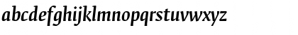 FedraSerifB Italic Font