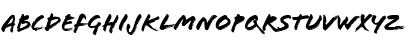 Flood RomanItalic Font Flood RomanItalic Font