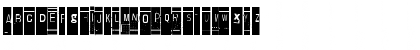 Lievidence TNY Regular Font Lievidence TNY Regular Font