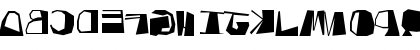 New Regular Font