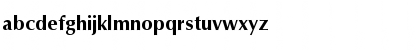 Jalal LT Bold Font Jalal LT Bold Font