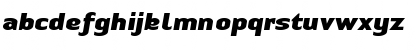 LTAuthenticSans BlackItalic Black Italic Font