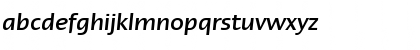 LTErgo MediumItalic Regular Font