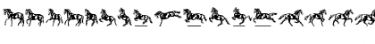 LTDressage Medium Font