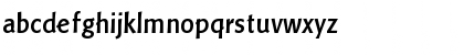 LTPisa Light Bold Font