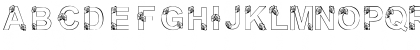 New Regular Font New Regular Font