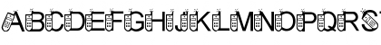 LMS Sprint Launches 3G Regular Font
