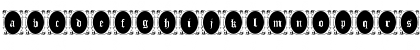 Locket Regular Font Locket Regular Font
