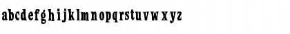 Loose New Roman Regular Font Loose New Roman Regular Font