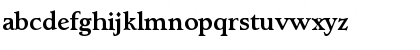 LynchburgMedium Regular Font LynchburgMedium Regular Font
