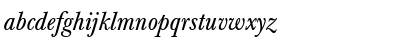BertholdBaskerville RomanItalic Font BertholdBaskerville RomanItalic Font