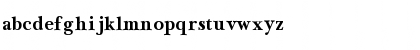 NewBaskerville Bold Font