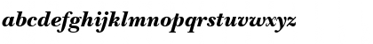 NewBaskervilleSemITC Black Italic Font NewBaskervilleSemITC Black Italic Font