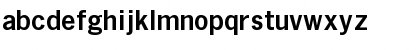 News Bold Font News Bold Font