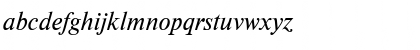 NewtonWINCTT Italic Font