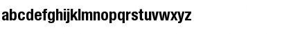 NimbusSanNovTCon Bold Font