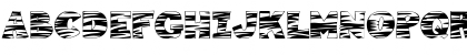 101! Tiger Print Regular Font 101! Tiger Print Regular Font