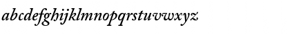Adobe Caslon Pro Bold Italic Font