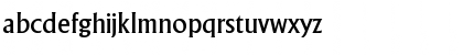 AdelonSerial-Medium Regular Font AdelonSerial-Medium Regular Font