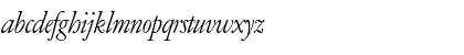 AmsterdamerGaramont RegularItalic Font AmsterdamerGaramont RegularItalic Font