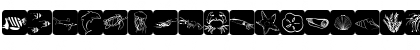 AquaMints GD Demo Regular Font AquaMints GD Demo Regular Font