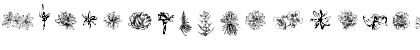 Tupiniquim Flora Regular Font Tupiniquim Flora Regular Font