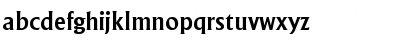 Adelon Bold Font Adelon Bold Font