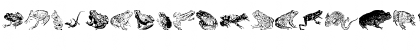 AmphibiPrint Regular Font AmphibiPrint Regular Font