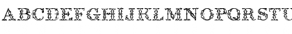 Antique Regular Font