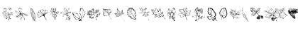 ArborisFolium Regular Font ArborisFolium Regular Font