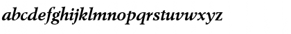 Cortex SSi Bold Italic Font Cortex SSi Bold Italic Font