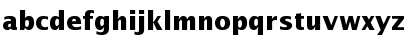 Insight Sans SSi Bold Font
