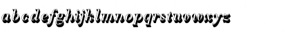 BodoniAntTRegItaSh1 Regular Font BodoniAntTRegItaSh1 Regular Font