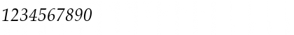 Palton ITALIC Font Palton ITALIC Font