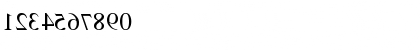 TimesMirror Regular Font TimesMirror Regular Font