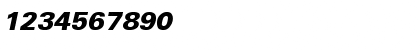 Univers-Black-Italic Regular Font Univers-Black-Italic Regular Font