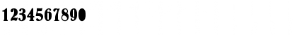 AkronBoldCondensed Regular Font AkronBoldCondensed Regular Font