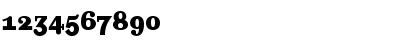 Amplifier Bold Font Amplifier Bold Font