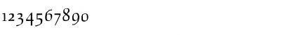 Beowolf SerifR21 Font
